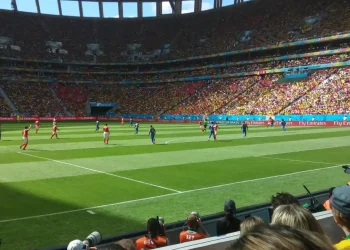 structure sport field lawn