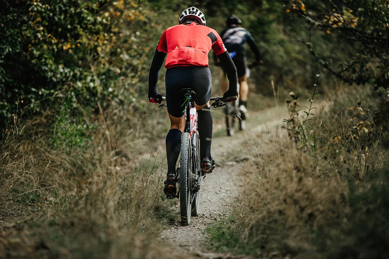 two riders on sport bikes