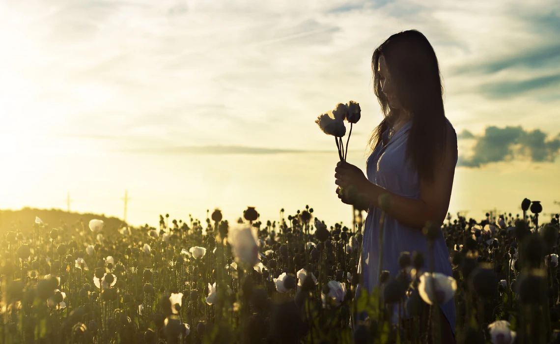 landscape nature grass light