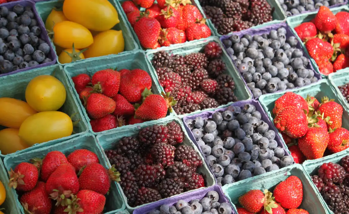 plant farm fruit berry summer