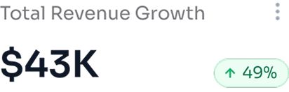 revenue metric image