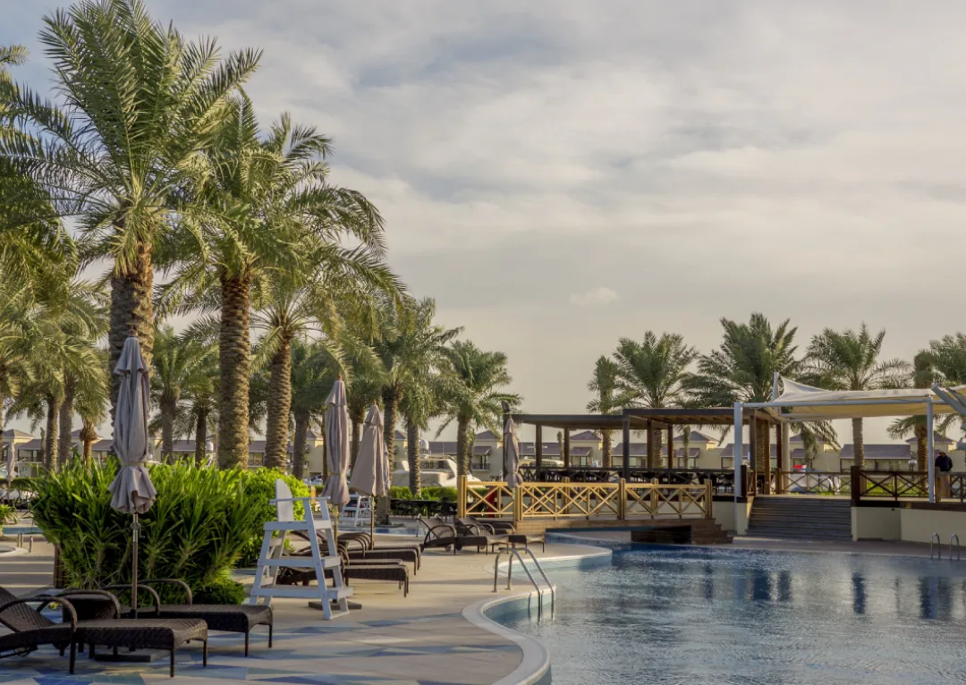 beach sea tree water nature outdoor