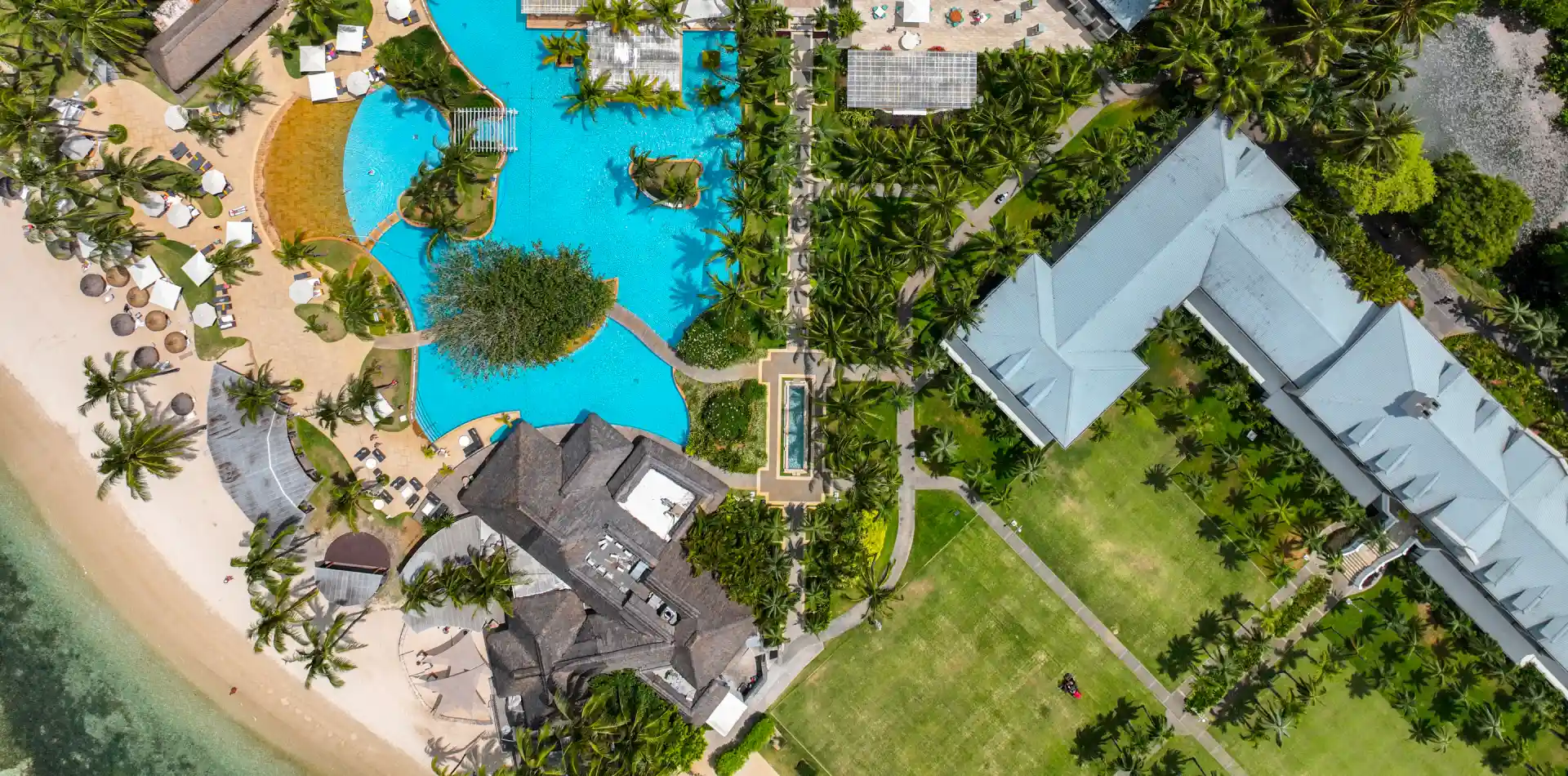 palm lined coastline and lagoon curve