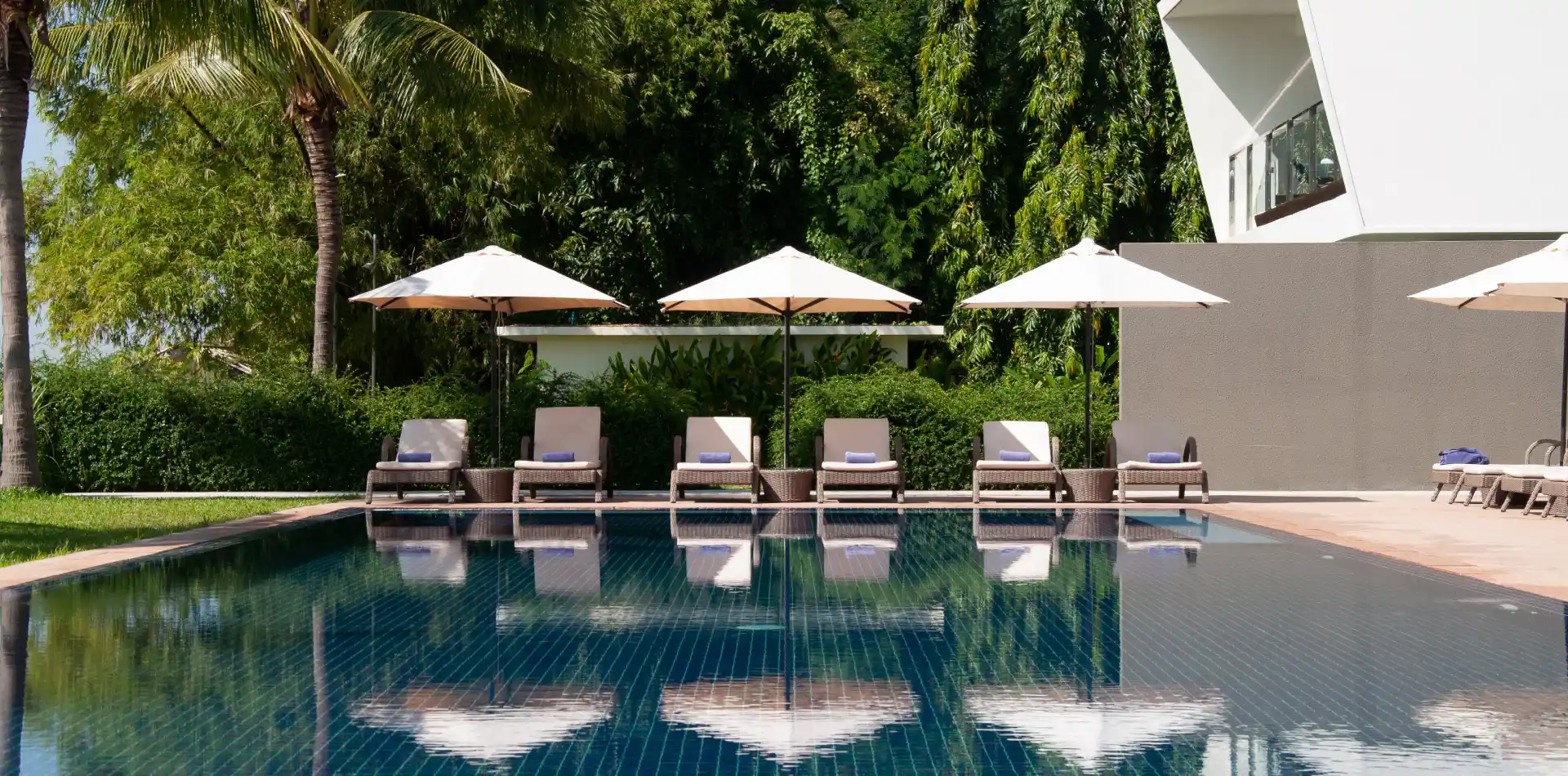 beautiful scenery of the pool surroundings