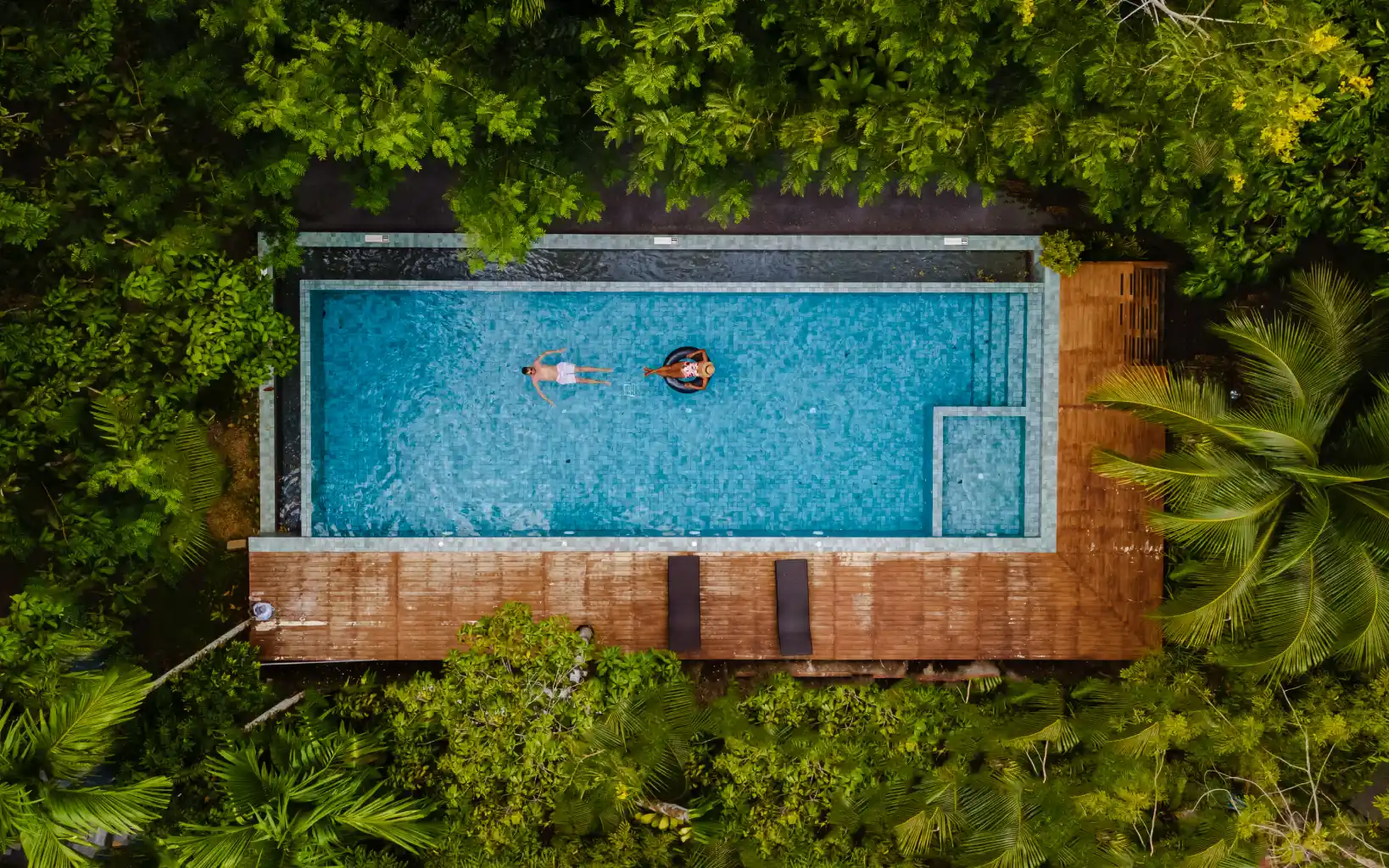view of a swimming pool in the jungle