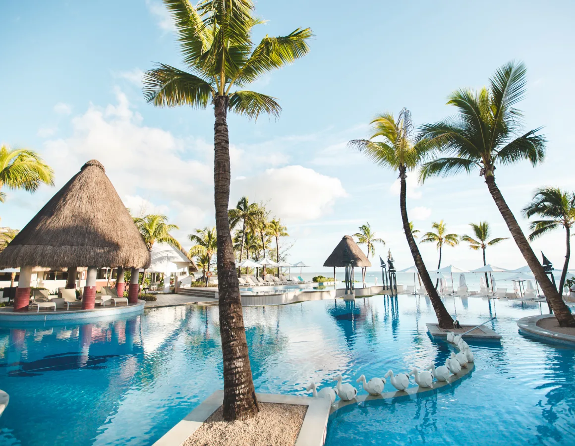 tropical swimming pool