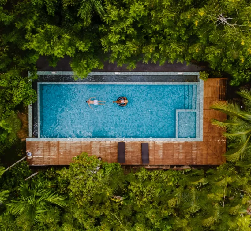 view of a swimming pool in the jungle