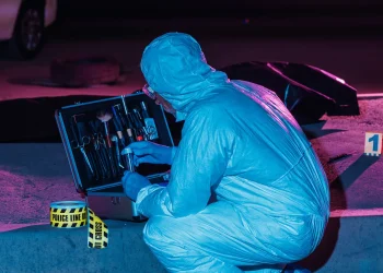 ai technique may aid violent crime forensics by analyzing corpse eating insects