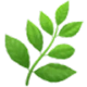 emoji herb