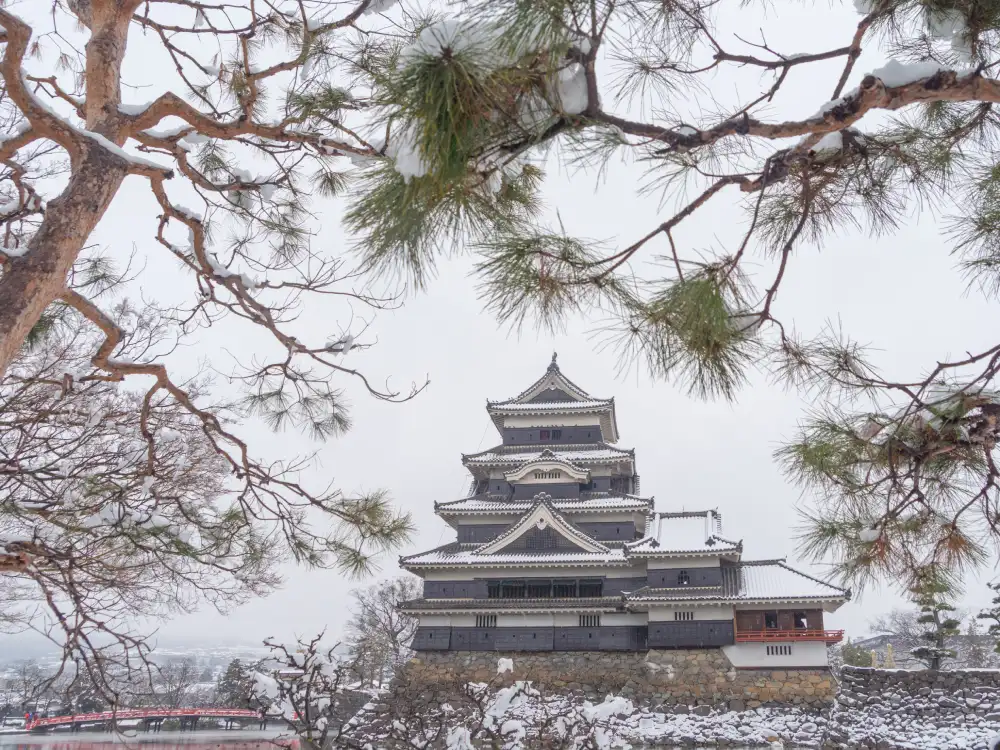 matsumoto mastle with tree branches and snow in winter season