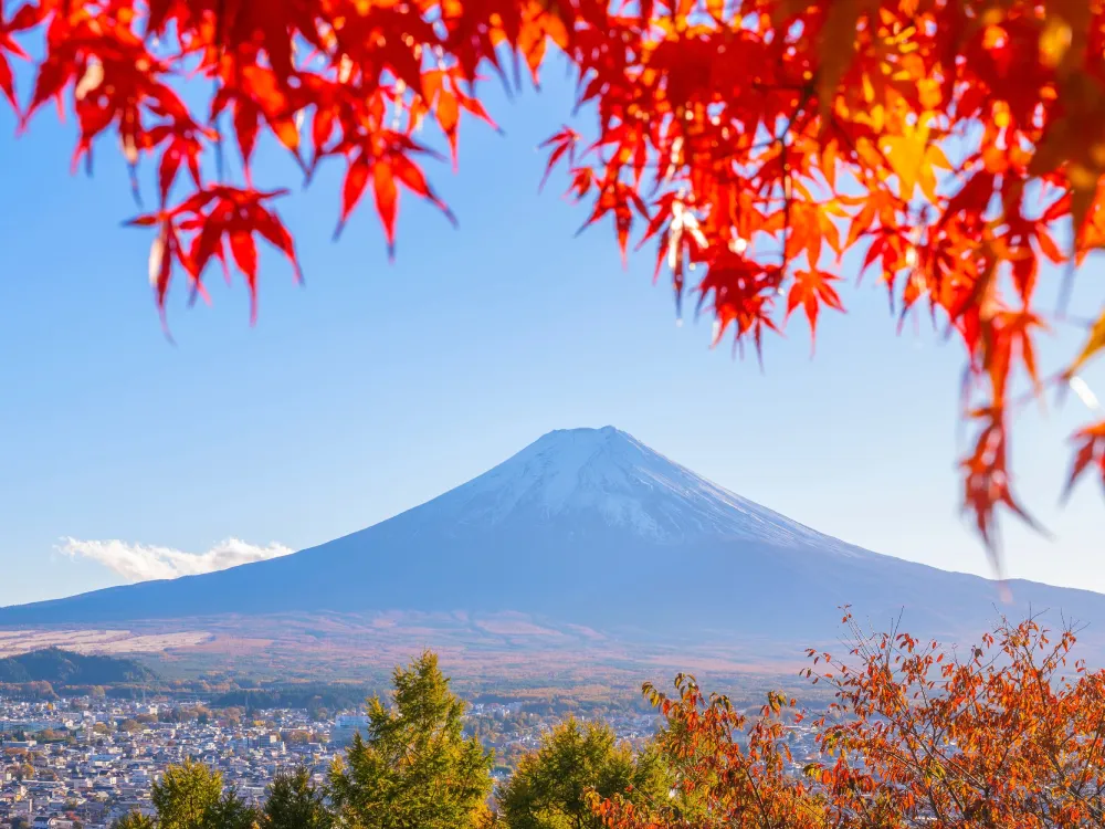 the mount fuji and autumn leaves in autumn
