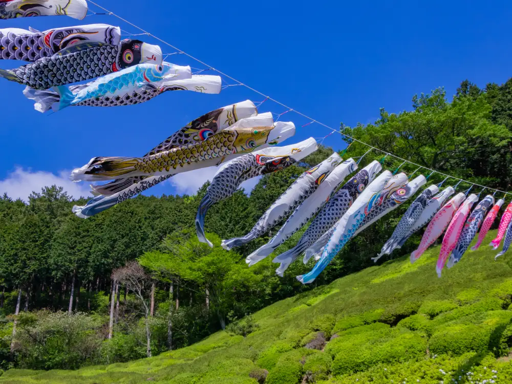 scenery of himenosawa park in shizuoka prefecture