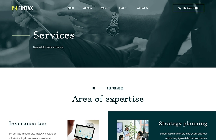 image-fintax-service